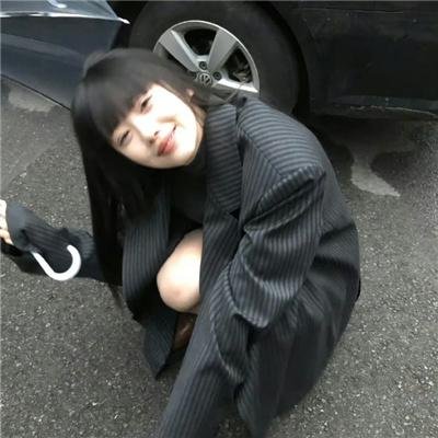 寻狗启事